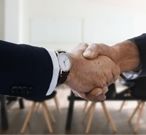 Segula for business success