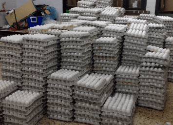Rabbi Meir Baal Haness Charities - stacks of eggs