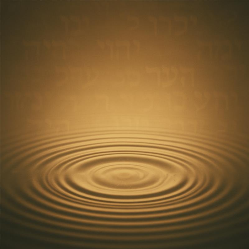 Ripples on water from hidden source, representing anonymous influence spreading
